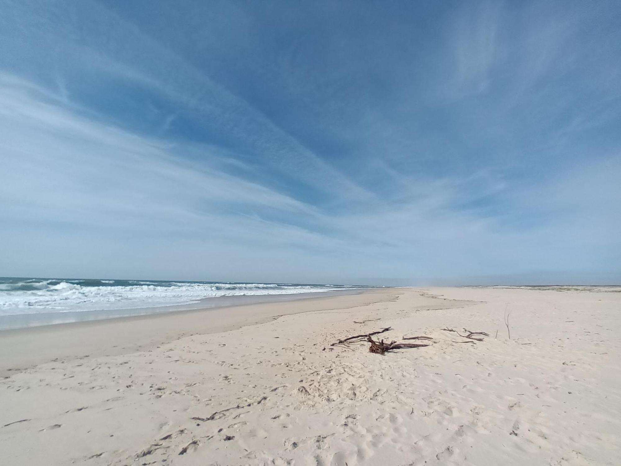 Apartment Close To The Ria De Aveiro, Sao Jacinto Exterior photo